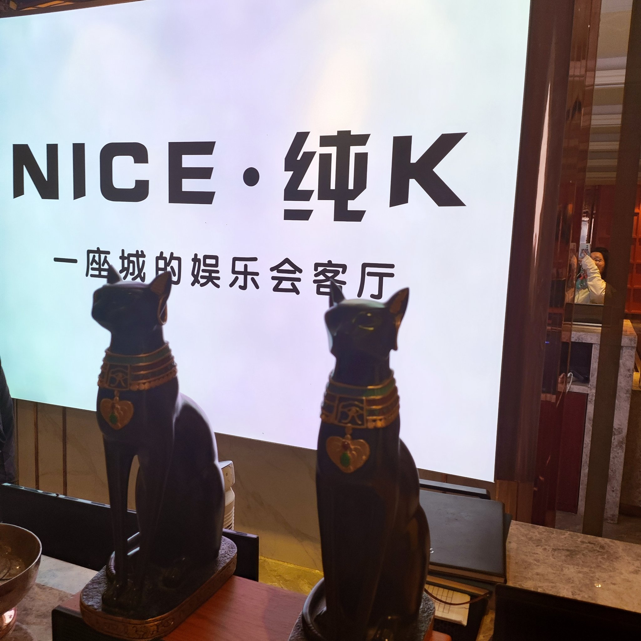 宜宾商务ktv专业服务-南溪区ktv预订